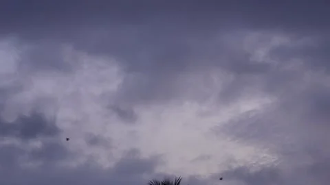 Black clouds are floating on the sky Stock Footage 316240070