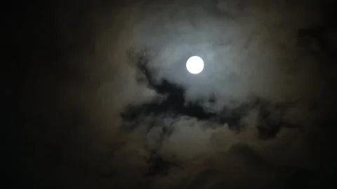 Black clouds rush over the moon Video stock 249216461