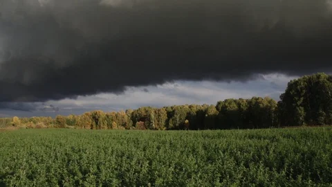 Black clouds sweep very low over village field, autumn weather, rain gathering Stock Footage 128801797