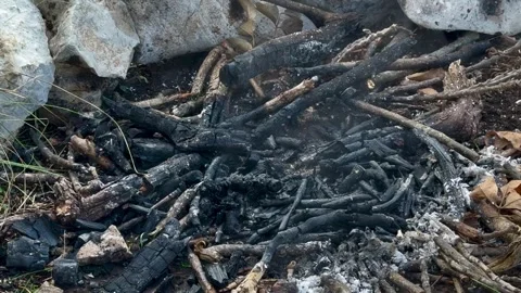 Black coal smoke ashes close wood fire Stock Footage 318287226