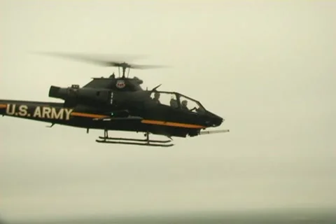 Black cobra fly by side Stock Footage 11424051