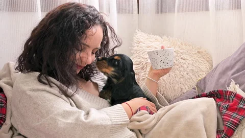 Black Cocker Spaniel puppy 2 months old, in the arms of the owner, gentle hugs Video stock 168673313