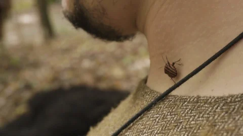 A black cockroach with red, walks down a man's neck 709 Stock Footage 125506929