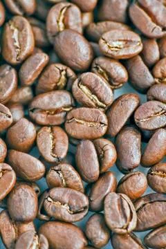 Black coffe beans Stock Photos