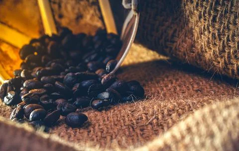 Black coffee beans Burned  close up  sackcloth  rough  dark brown  With light. Stock Photos