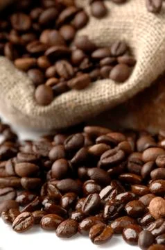 Black coffee beans Stock Photos