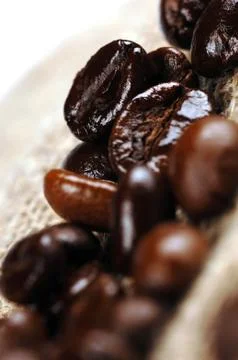 Black coffee beans Stock Photos