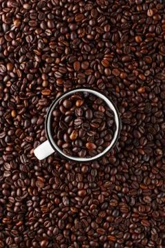 Black coffee beans studio shot. Stock Photos