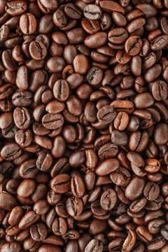 Black coffee beans studio shot. Stock Photos