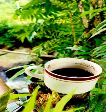 Black Coffee Cup with Tropical River and Lush Greenery Background Foto stock