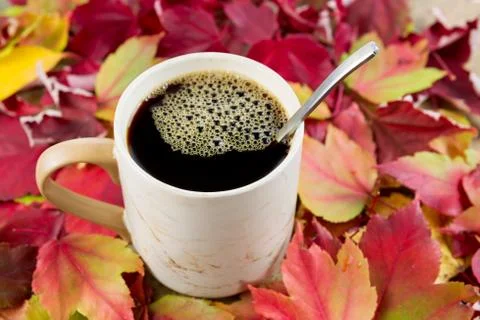 Black coffee in the fall time Stock Photos