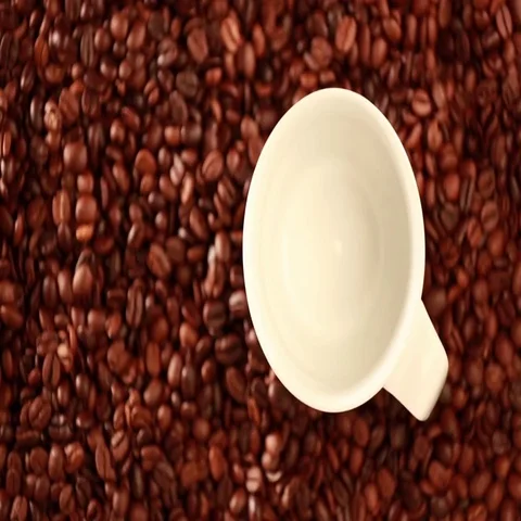 Black Coffee Poured Stock Footage 69555189