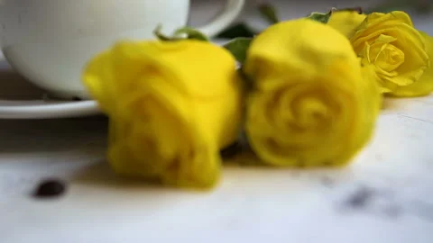 Black coffee in a white cup and yellow roses on the table. Stock Footage 85543847