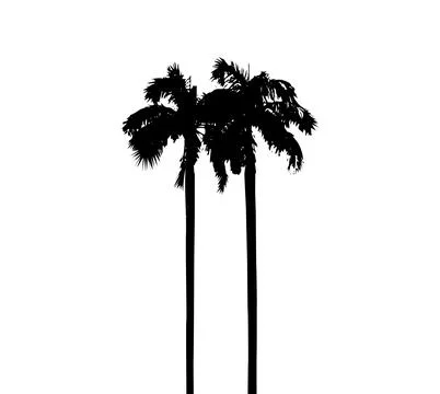 Black color coconut tree  vector art, betel nut tree set Stock Illustration