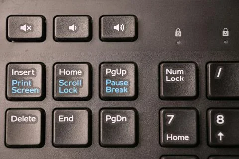 Black Computer Keyboard Macro Shot with PgUp Key Focus and Soft Blurred Bac.. Stock-Fotos