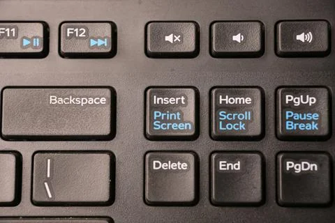 Black Computer Keyboard Macro Shot Highlighting Insert and Print Screen Key.. Foto stock