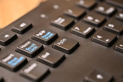Black Computer Keyboard Macro Shot Highlighting Page Down Key with Soft Blu.. Foto stock