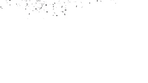 Black Confetti Explosion Stock Footage 40267052