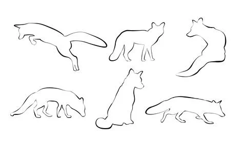 Black contours of foxes on a white background Stock Illustration