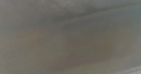 Black couple walking on beach seen from above Stock Footage 165660933