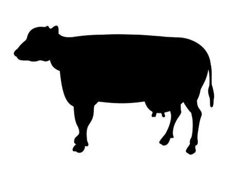 Black cow Stock Illustration