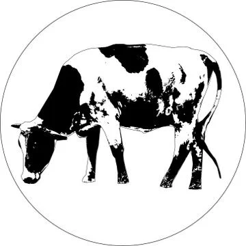 Black cow logo Stock-Illustration