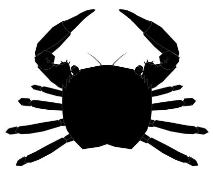 Black crab is shown in a white background. The crab is the main focus of the Stock Illustration