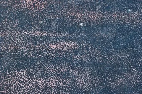 Black cracked pattern background.Background for making banners. 写真素材