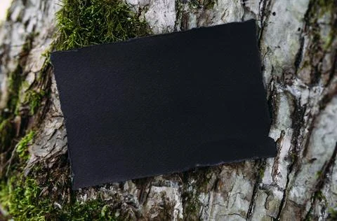 Black craft paper mockup template on the background of forest magic nature Photos