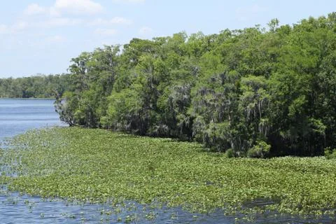 Black Creek river Stock Photos