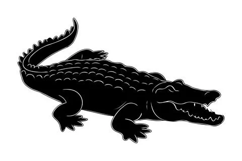 Black Crocodile vector art illustration in white background, Crocodile icon 库存插图