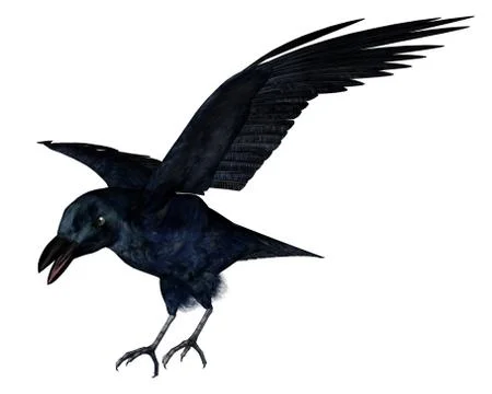 Black crow - 3D render Stock Illustration