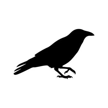 Black Crow Bird Silhouette Vector Illustration Isolated On White Background Stock-Illustration