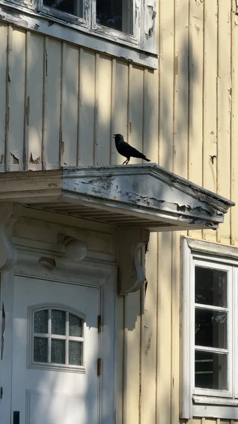 Black Crow Calling from Overhang of Old Yellow Wooden House Stock Footage 343685507