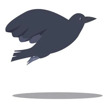 Black crow flying with spread wings and shadow Stock Illustration