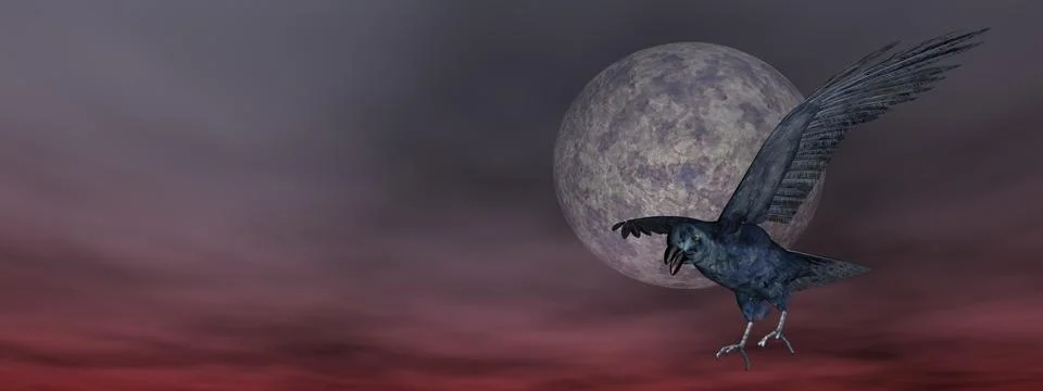 Black crow by night - 3D render Stock Illustration
