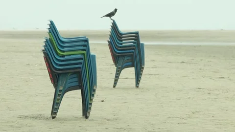 Black Crow Perched on Stacked Plastic Chairs on a Sandy Beach Stock Footage 239169970
