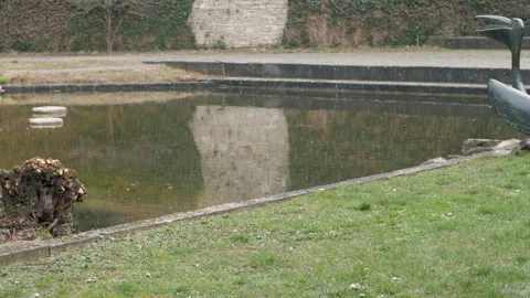 A black crow, raven jumps down to the pond in search of food. Stock Footage 266069108