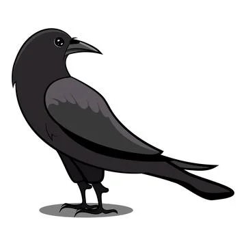 Black Crow with Shadow Vector Illustrations Isolated Doodle on White Background Stock Illustration