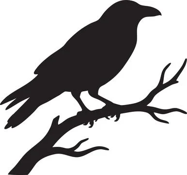 Black Crow Silhouette on a Branch 스톡 일러스트