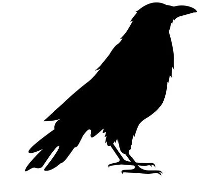 Black crow silhouette. Stock Illustration