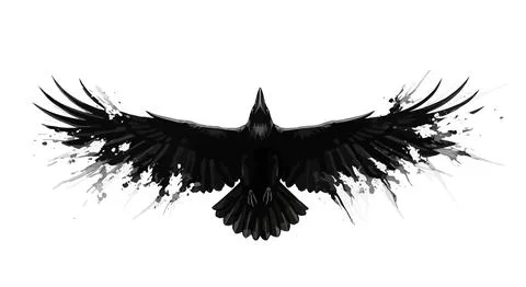 Black crow soaring with wings spread, ink splatter effect, isolated on white Stock Illustration