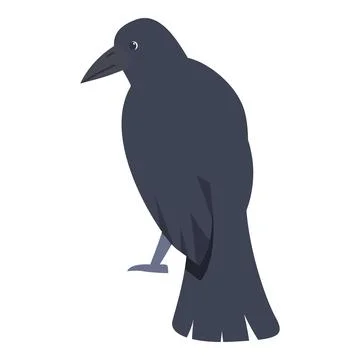 Black crow standing, smart bird with dark feathers, corvus corone Stock Illustration