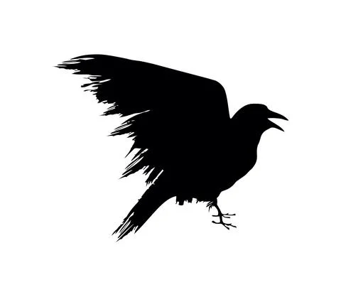 Black Crow Vector Sign Stock Illustration