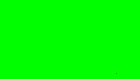 Black crows are flying on a green background Stock Footage 107671581