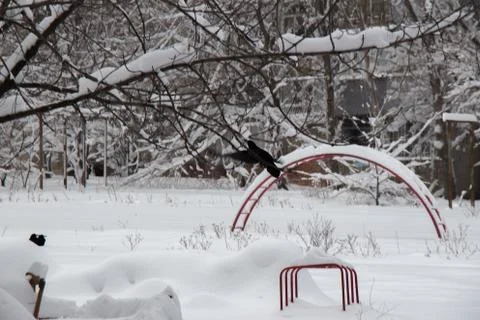 Black crows are sitting in the yard in large snowdrifts of snow Stock Photos