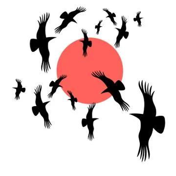 Black crows circling in the sun Stock Illustration