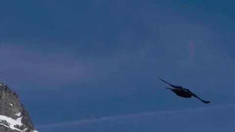 Black crows flying in the blue sky above the abysses of snow covered mo Stock Footage 71167865