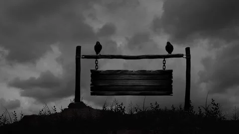Black Crows Standing on a Blank Wooden Sign in a Middle of a Field Stock Footage 302548789
