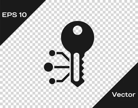 Black Cryptocurrency key icon isolated on transparent background. Concept of Stockillustratie